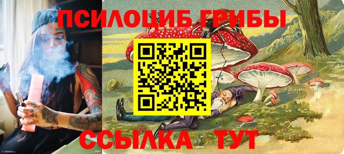 Галлюциногенные грибы Psilocybine cubensis Верхняя Пышма